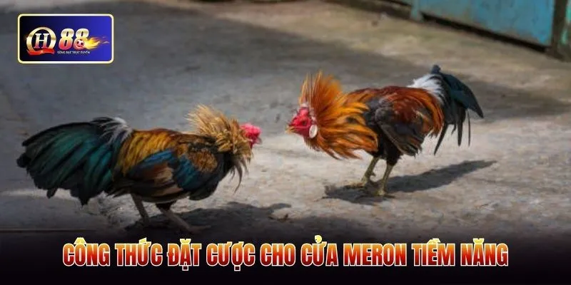 Công thức đặt cược cho cửa Meron tiềm năng