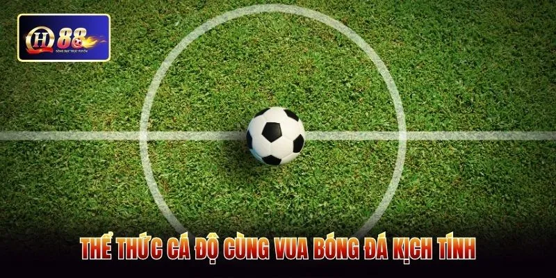 Thể thức cá độ cùng vua bóng đá kịch tính
